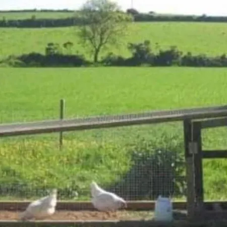 Sarahs Beachouse Dom wakacyjny Ford Court